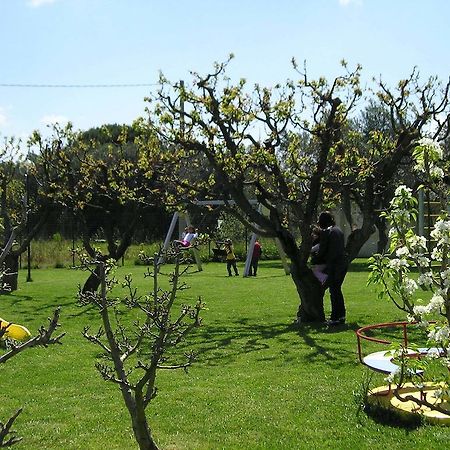 Agriturismo Arangea Lequile Dış mekan fotoğraf